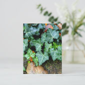 Elegante klassieke groene klimop en veldsteen briefkaart (Staand voorkant)