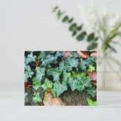 Elegante klassieke groene klimop en veldsteen briefkaart (Staand voorkant)