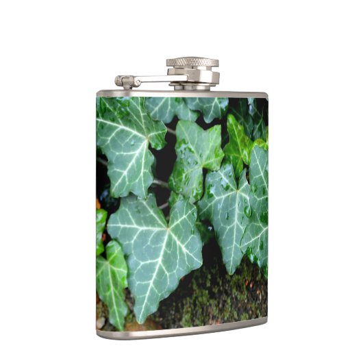 Elegante klassieke groene klimop en veldsteen heupfles (Rechts)