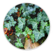 Elegante klassieke groene klimop en veldsteen keramische knop (Voorkant)