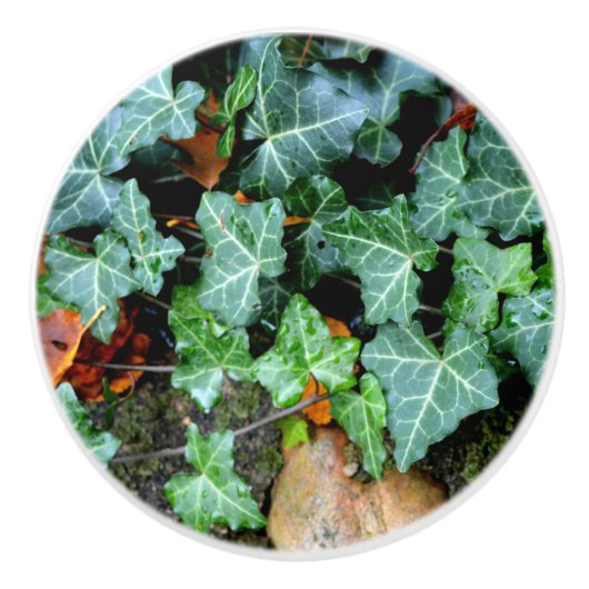 Elegante klassieke groene klimop en veldsteen keramische knop (Voorkant)