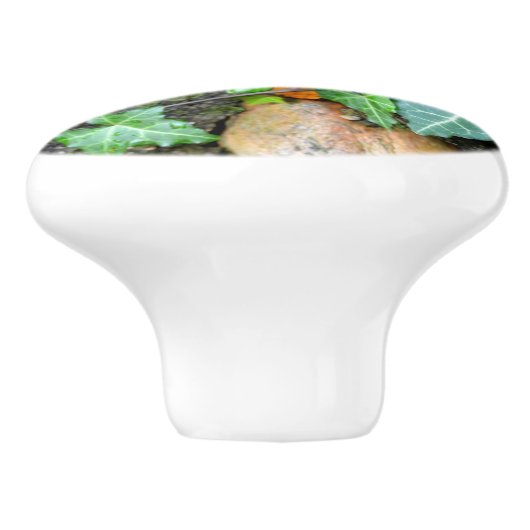 Elegante klassieke groene klimop en veldsteen keramische knop (Zijkant)