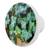 Elegante klassieke groene klimop en veldsteen keramische knop (Rechts)