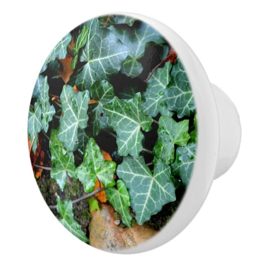 Elegante klassieke groene klimop en veldsteen keramische knop (Rechts)