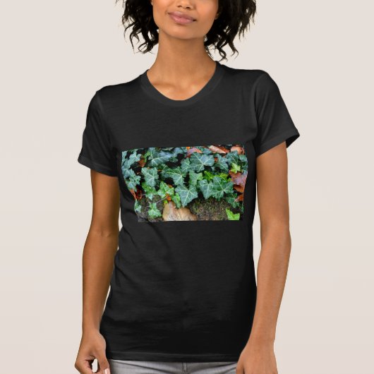 Elegante klassieke groene klimop en veldsteen t-shirt (Voorkant)