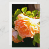Elegante klassieke oranje perzik rozen floral briefpapier (Voorkant / Achterkant)