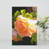 Elegante klassieke oranje perzik rozen floral briefpapier (Staand voorkant)