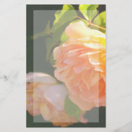 Elegante klassieke oranje perzik rozen floral briefpapier