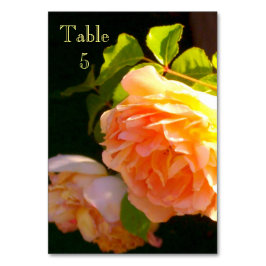 Elegante klassieke oranje perzik rozen floral kaart