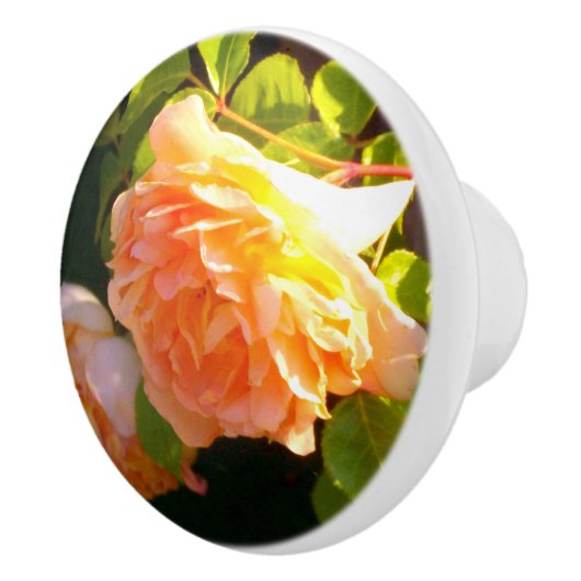 Elegante klassieke oranje perzik rozen floral keramische knop (Rechts)