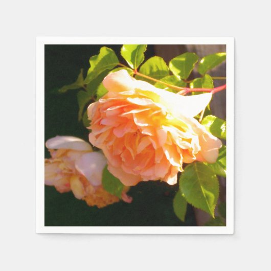 Elegante klassieke oranje perzik rozen floral servetten (Voorkant)