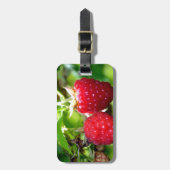 Elegante klassieke rode frambozen bagagelabel (Voorkant verticaal)