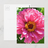 Elegante klassieke roze bloemen bloem moeder madel briefkaart (Voorkant / Achterkant)