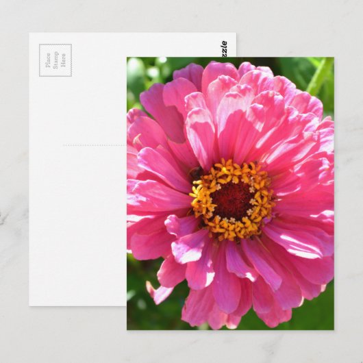 Elegante klassieke roze bloemen bloem moeder madel briefkaart (Voorkant / Achterkant)