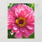 Elegante klassieke roze bloemen bloem moeder madel briefkaart (Voorkant)