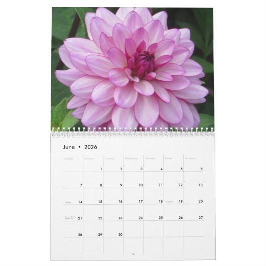 Elegante kleurrijke Dahlias Botanische Kalender (Jun 2026)