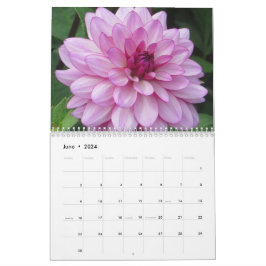 Elegante kleurrijke Dahlias Botanische Kalender