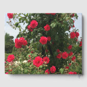 Elegante Klimmende Rode Rozen Gastenboek (Achterkant)