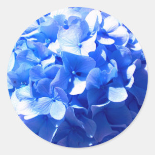 Elegante Kobalt blauwe bloemen elegante hortensia' Ronde Sticker