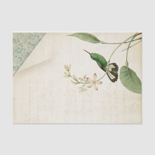 Elegante kolibrie Ephemera Tissuepapier (Voorkant)