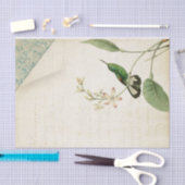 Elegante kolibrie Ephemera Tissuepapier (Craft)