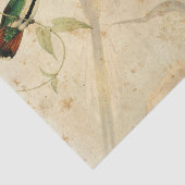 Elegante kolibrie tissuepapier (Detail)