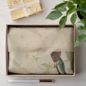 Elegante kolibrie tissuepapier (Geschenk)