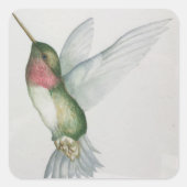 Elegante kolibrie vleugels Waterverf Stickers (Voorkant)