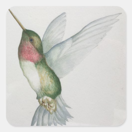 Elegante kolibrie vleugels Waterverf Stickers (Voorkant)