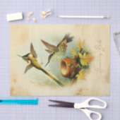 Elegante kolibries tissuepapier (Craft)