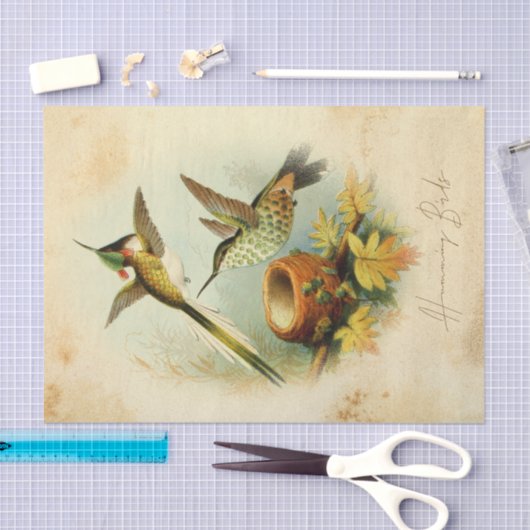 Elegante kolibries tissuepapier (Craft)