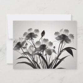Elegante kosmos bloemen in bloei briefkaart