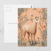 Elegante Lama en Daisy bloemen op perzik Briefkaart (Voorkant / Achterkant)