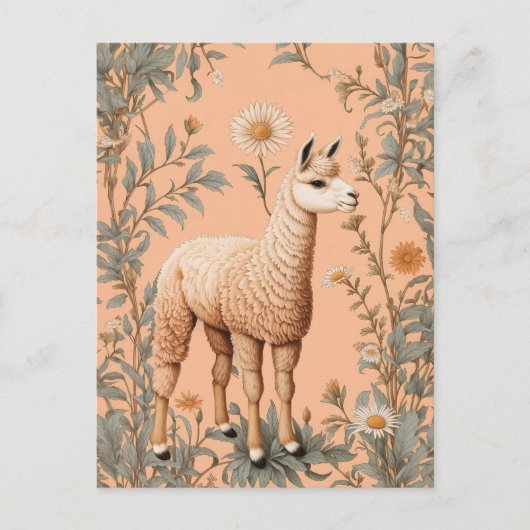 Elegante Lama en Daisy bloemen op perzik Briefkaart (Voorkant)