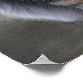 Elegante langharige kat poster (Hoek)