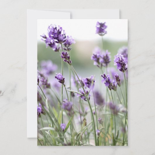 Elegante Lavendel Boheemse huwelijksuitnodigingen Kaart (Achterkant)