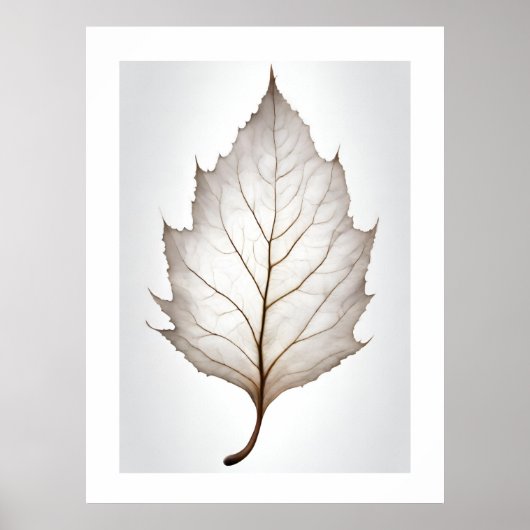 Elegante Leaf Naturen Vein Artprint Poster (Voorkant)