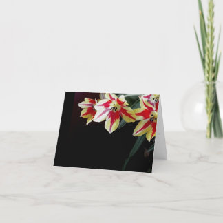 Elegante lege notakaart - Rode & Gele Tulpen Kaart
