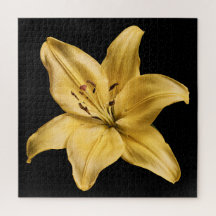 Elegante Leliecollectie op Zwart