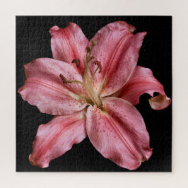 Elegante Leliecollectie op Zwart Legpuzzel