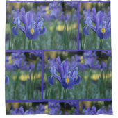 Elegante Lente Bloem Paarse Iris Douchegordijn (Voorkant)