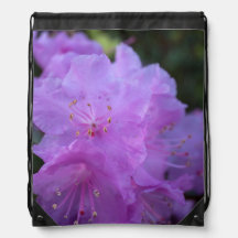 elegante,  lente paarse azalea bloemen.