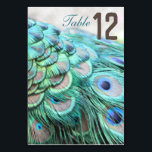 Elegante levendige Blauwgroen Peacock Feather Trou Kaart<br><div class="desc">Creëer een sfeer van extravagante elegantie op uw bruiloft receptie en diner met deze prachtige tafel nummer kaarten. Ze zijn versierd met een prachtige pauw veren print met levendige kleuren. Een origineel ontwerp is exclusief verkrijgbaar bij de online winkel van ©GardenEden.</div>