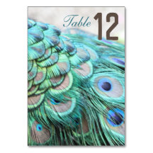 Elegante levendige Blauwgroen Peacock Feather Trou