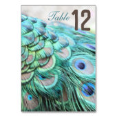 Elegante levendige Blauwgroen Peacock Feather Trou Kaart (Achterkant)