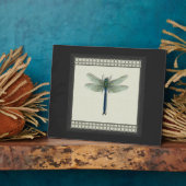 elegante libel fotoplaat (Zijkant)