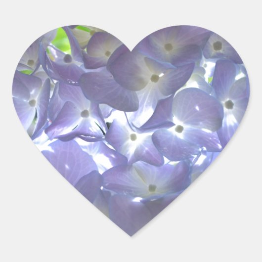 Elegante lichte paarse bloemenlavendelhortensia's hart sticker (Voorkant)