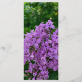 Elegante Lila paarse lavendel bloemenbruiloft Menu (Achterkant)