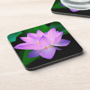 Elegante Lotus Bloem Bier Onderzetter