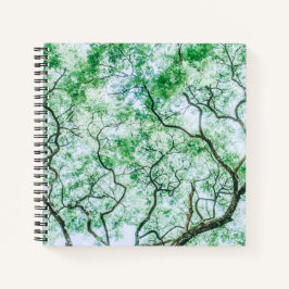 Elegante maar spookachtige bladeren en takken | No Notitieboek